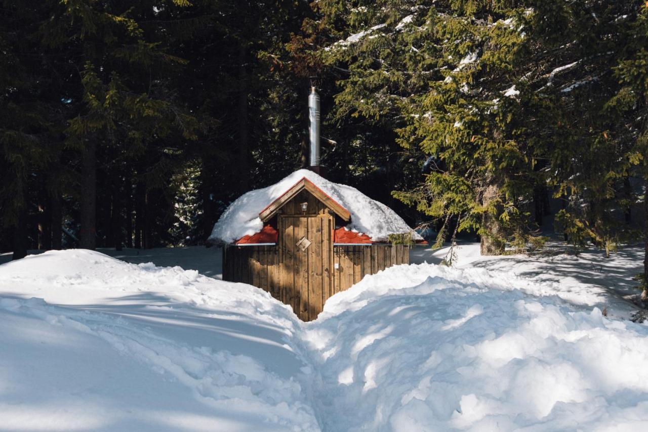 Natura Haziko Izvoare  Esterno foto